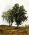 A Study of Trees scenery John Frederick Kensett